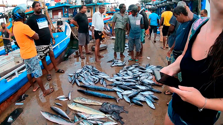 Рыбный рынок в Хиккадуве
