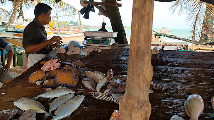 Рыбный рынок в Унаватуне