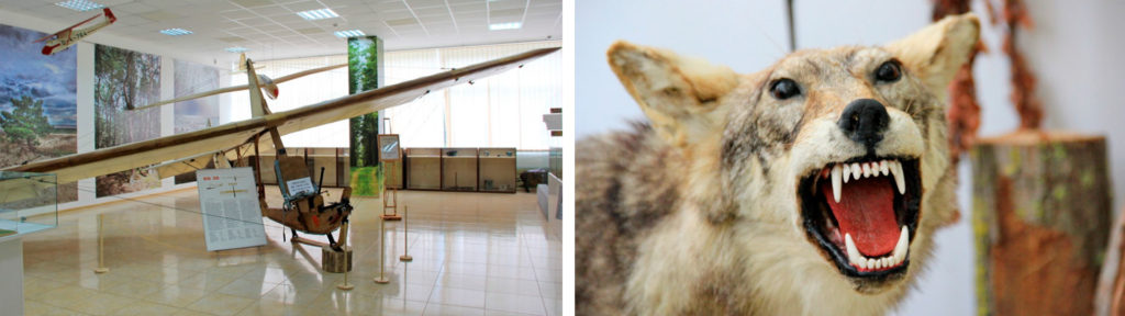 Музей природы Куршской косы