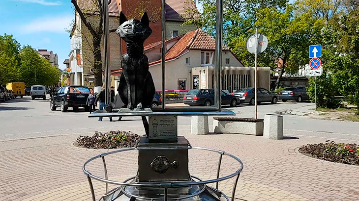 Памятник Зеленоградским котам